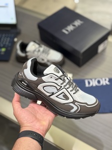 Dior shoes gray