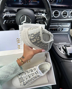 Dior walkin grey