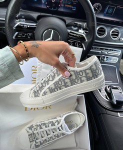 Dior walkin grey