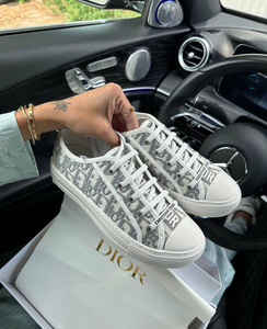 Dior walkin grey