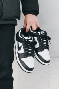 Nike Sb dunk low black white